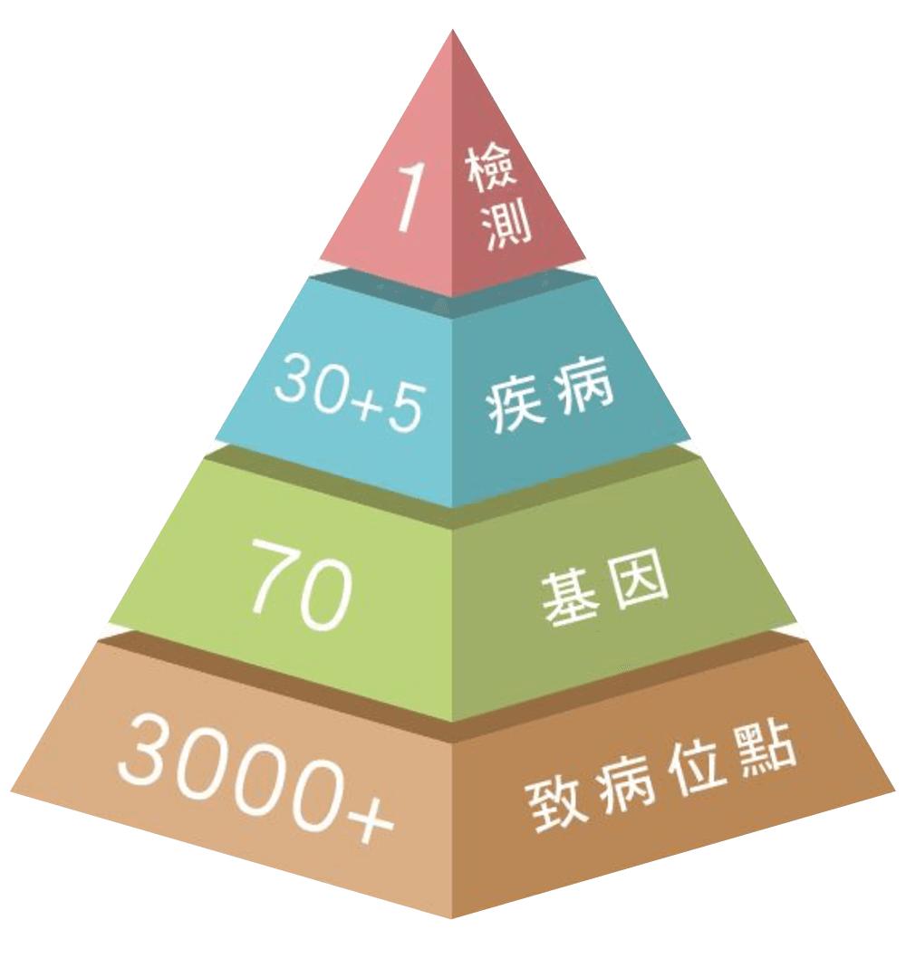 提供最完整的婚前和孕前基因檢測服務